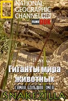 National Geographic:   .    (2011)   hd