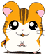 Elirya