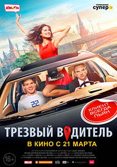 Трезвый водитель (2019)