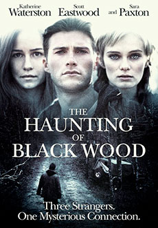 Вход в никуда (2011)