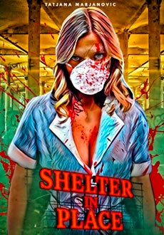 Укрытие на месте (2021)