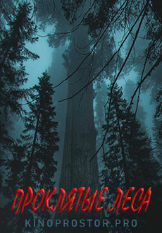 Проклятые леса (2021)