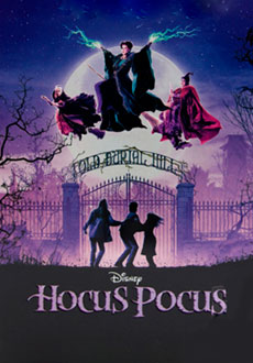Фокус-покус (1993)