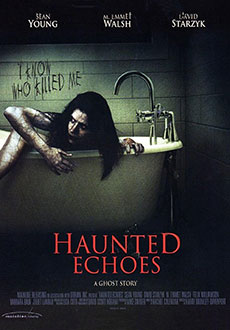 Отзвуки эха (2008)