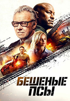 Бешеные псы (2025)